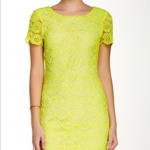 Lucy Paris lace dress